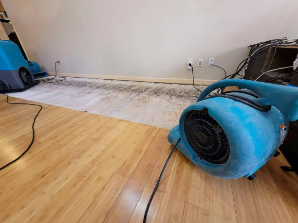 Professional Sewage Cleanup technician working in Dulzura, CA
